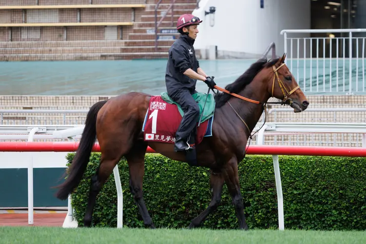 Satono Reve01.4.25.25.HKJC_.jpg