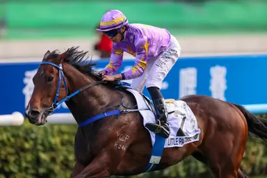 Jimmy Ting hopes Little Paradise can shine in BMW Hong Kong Derby