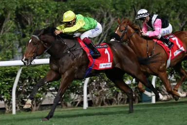 Tomodachi Kokoroe hunts another victory this season