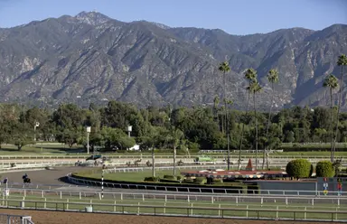 California wagering down across the board in 2024