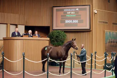 Keeneland November sale: Finesse tops session at $900,000 as Book 2 closes with gains