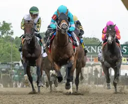 After Woody Stephens flop, Taj Mahal will get a short break