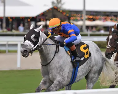 Rugelach in nice spot to get first win for Wilensky