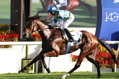 Pierre Ng banks on Zac Purton to extract best from Galaxy Patch