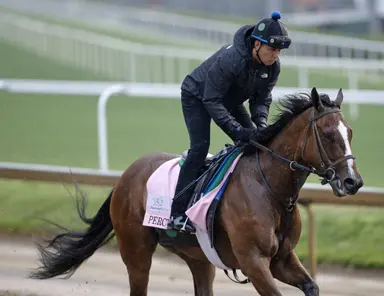 Acorn under consideration for Percy's Bar but Monomoy Girl more likely