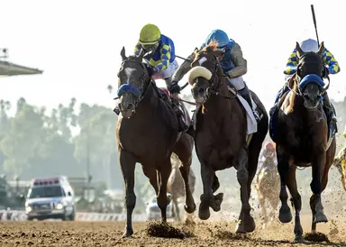 Brad Free's Santa Anita Horses to Watch for week of Sept. 27-29, 2024