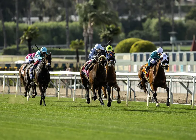 Santa Anita turf