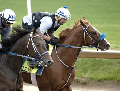 Kentucky Derby 2026: McPeek unhappy with Right to Party vet scratch; Robusta joins field
