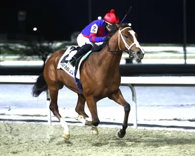 Battaglia field still feisty and full despite First Resort scratch