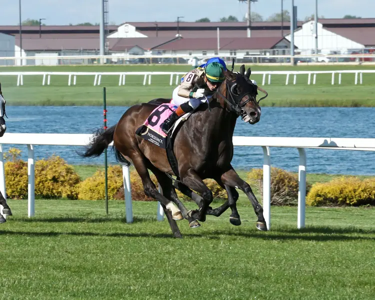 HOW ABOUT NOW - The Cleopatra 18h Running - 05-13-26 - R08 - Horseshoe Indiana - Finish 02 - Sammantha Pagels.JPG