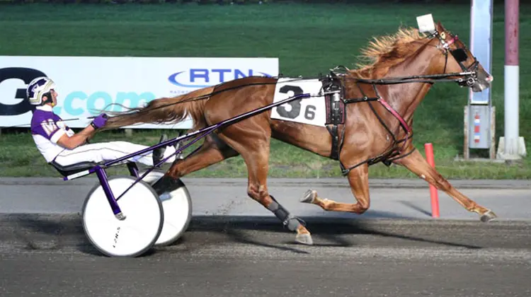 Elista Hanover 7-20-24
