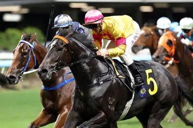 Mark Newnham nears milestone as Lunar Dash chases bounce back