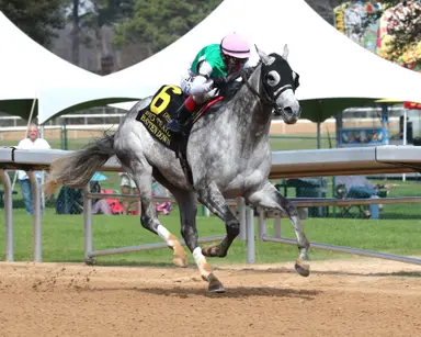 Batten Down dominates Pig Trail stakes