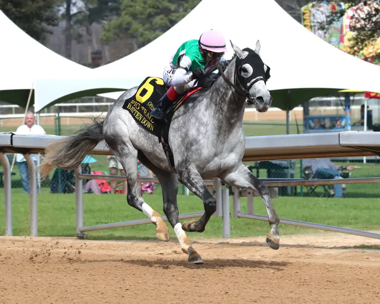 BATTEN DOWN - Pig Trail Overnight Stakes - 03-01-26 - R05 - Oaklawn Park - Finish 02 - Renee Torbit.jpg