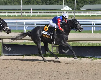 Girvin offspring sweep final round of FTBOA Florida Sire stakes
