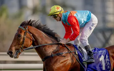 World’s best Ka Ying Rising goes for 19th consecutive win in Sprint Cup