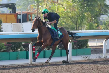 Graffard delighted with Goliath while Atzeni and McDonald talk up their LONGINES Hong Kong Vase chances
