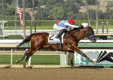 Kentucky Derby 2025: Barnes to stay equipped with blinkers after disappointing drill