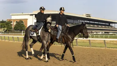 Belmont Stakes: Air quality back to normal; racing, training resume