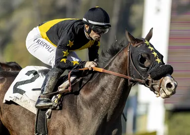 Sharons Beach a key single in pick six with $34K carryover