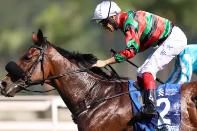 Whyte content with Russian Emperor ahead of G3 Queen Mother Memorial Cup