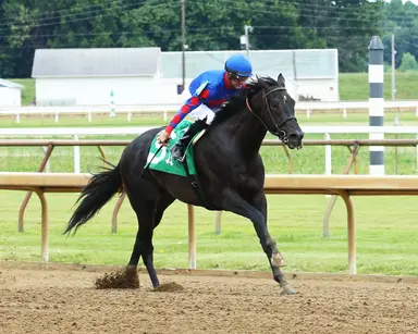 Lothenbach racehorse digital dispersal totals more than $4 million