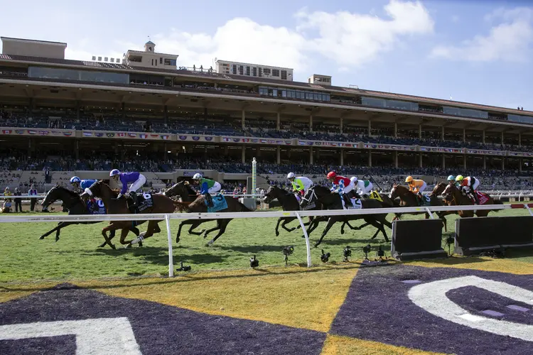 Raqiya.Goldikova.first time by.Del Mar scenic.11-2-24.SR_.jpg