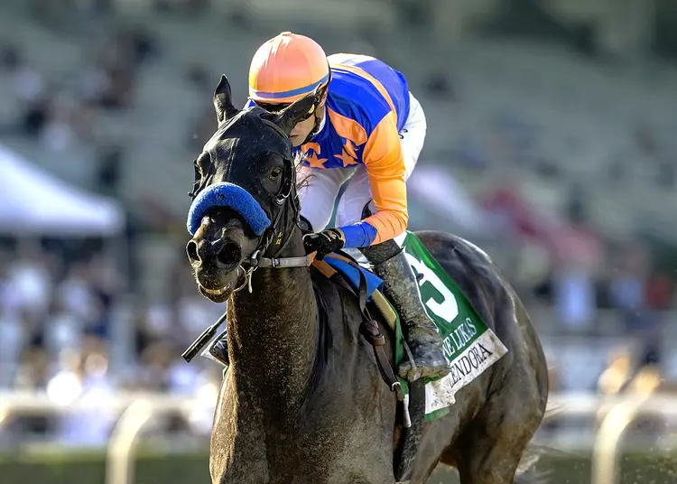 Splendora wins D. Wayne Lukas at SA Feb 7 2026