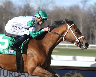 Medaglia d’Oro pursuing Kentucky Oaks sire record with Botanical