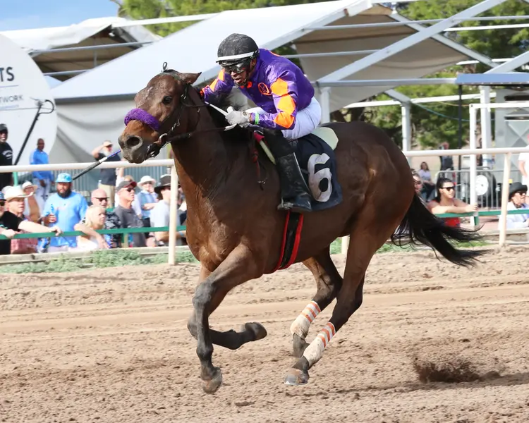 Truth Seeker/Phoenix Gold Cup