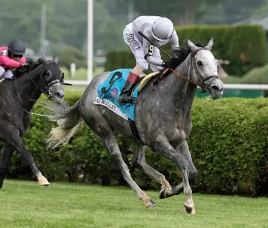 Ag Bullet will return in one of two Saratoga stakes during Belmont week