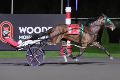 Plainridge Park: Brandon Blvd makes 2026 debut in Paul Revere Pace