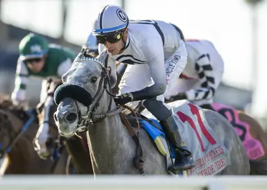 Brad Free's Santa Anita Horses to Watch for week of Feb. 15, 2024