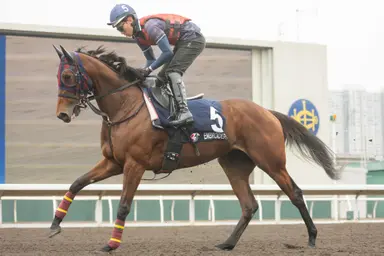 Lemaire warns rivals not to overlook Embroidery in LONGINES Hong Kong Mile