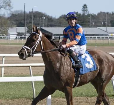 Zany, Percy's Bar headline Ashland field