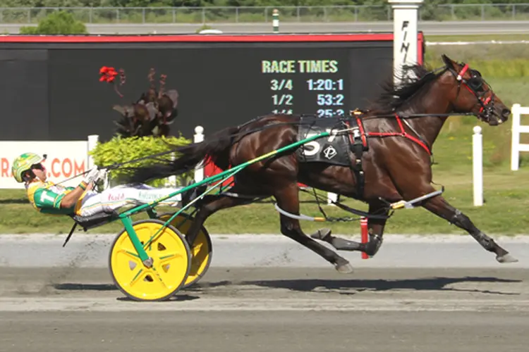 Sylvia Hanover 7-20-25