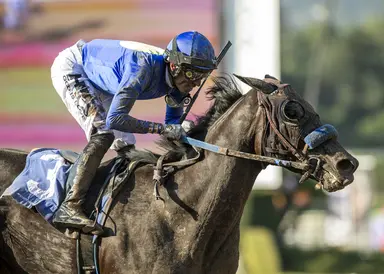 Santa Anita late pick five play for Saturday, Feb. 3, 2024