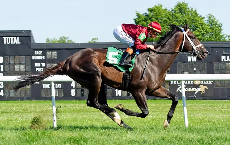 DRF_Hoofp015_260613_ 8587.JPG