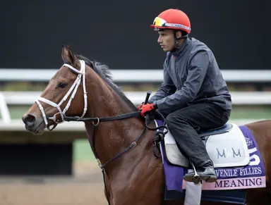 Meaning's company lines stand out over speed figures in Santa Anita Oaks