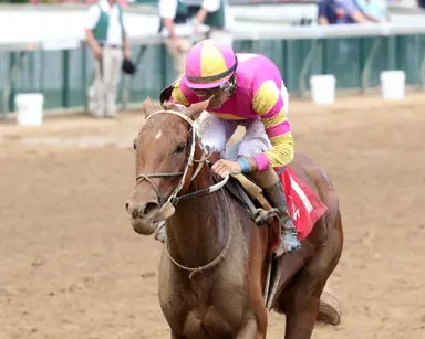 Asmussen eyeing Azeri for Perfect Shot