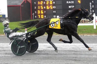 Harness: Kelley preparing his Massachusetts-breds for Oak Grove and beyond