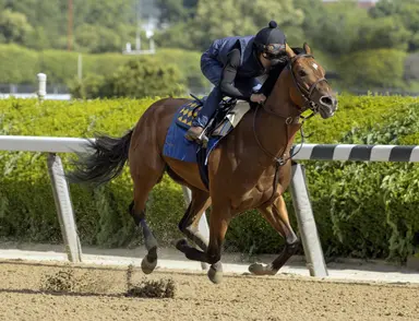 Belmont Stakes clocker report: National Treasure airs it out, Red Route One cuts it short