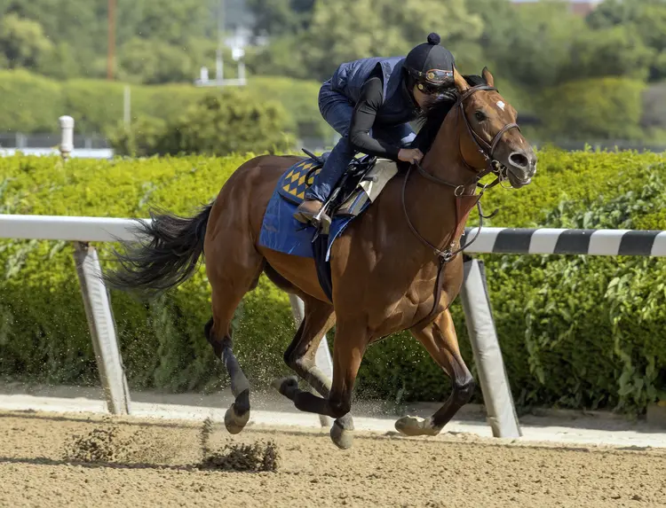 National Treasure works at Belmont June 5 2023