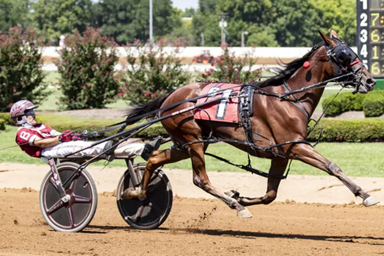 Topville Lucky 8-19-25