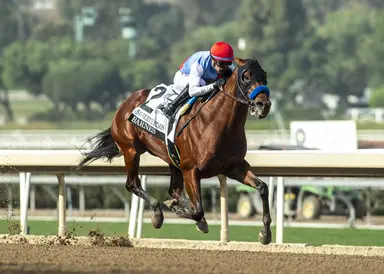Barnes closes as tepid individual favorite in fourth Kentucky Derby Future Wager pool