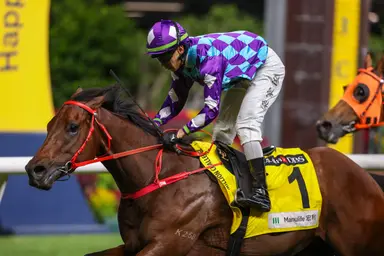 Regal Gem chases three straight at Happy Valley on Tuesday