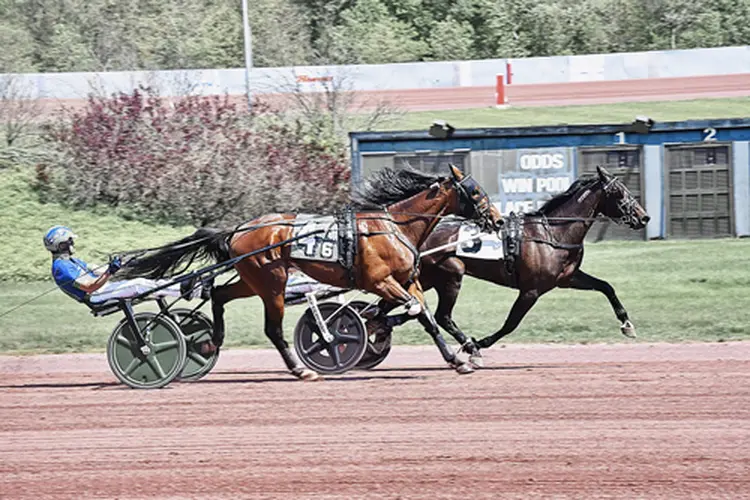 Mr Penner 5-18-26