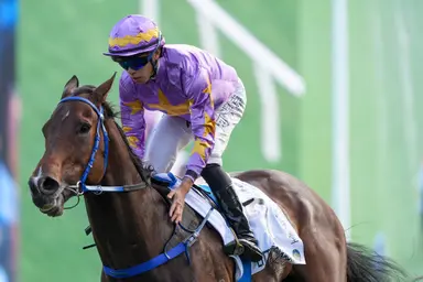 Little Paradise triumphs in spectacular style to claim Hong Kong Classic Mile