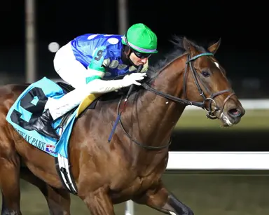 Led by Street Beast, full field vies for Derby points in Battaglia Memorial
