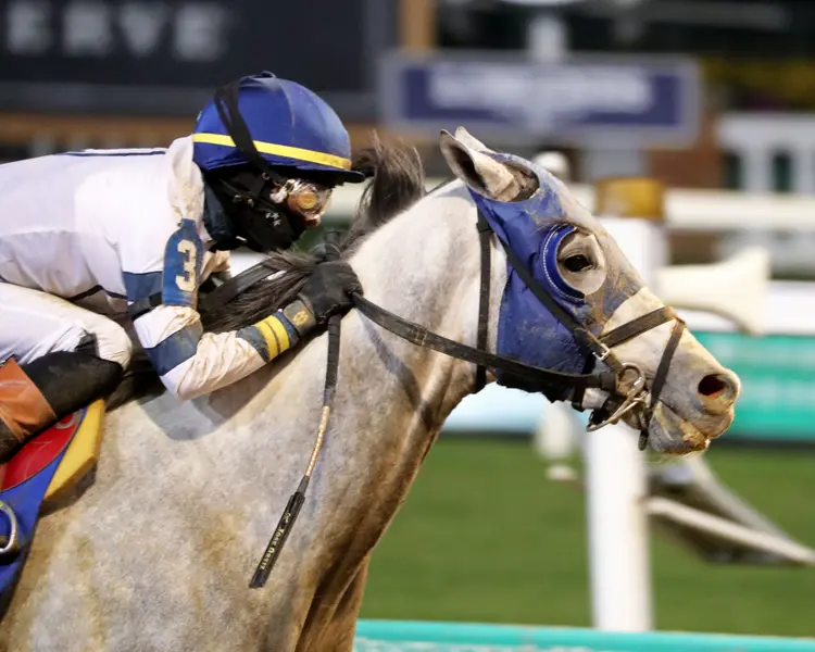 MOONLIGHT - The Cherokee Mile - 11-30-25 - R11 - Churchill Downs - Finish 03 - Rick Bailey.jpg